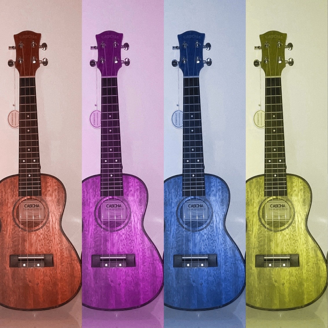Barevná ukulele MelodyART
